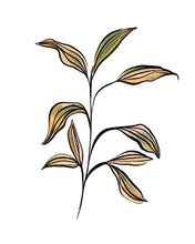 Load image into Gallery viewer, Seedling