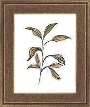 Load image into Gallery viewer, Seedling