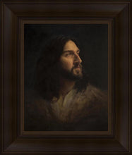 Load image into Gallery viewer, Our Advocate