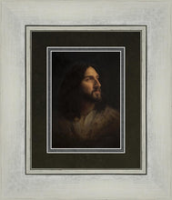Load image into Gallery viewer, Our Advocate