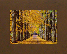 Load image into Gallery viewer, Plate 1 - Dairy Hill Horizontal