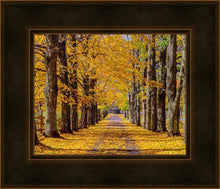 Load image into Gallery viewer, Plate 1 - Dairy Hill Horizontal