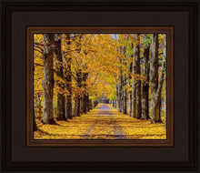 Load image into Gallery viewer, Plate 1 - Dairy Hill Horizontal