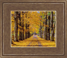 Load image into Gallery viewer, Plate 1 - Dairy Hill Horizontal