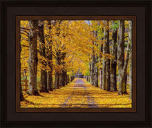 Load image into Gallery viewer, Plate 1 - Dairy Hill Horizontal