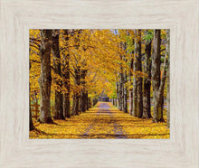 Load image into Gallery viewer, Plate 1 - Dairy Hill Horizontal