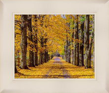Load image into Gallery viewer, Plate 1 - Dairy Hill Horizontal