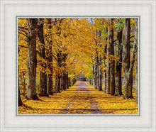 Load image into Gallery viewer, Plate 1 - Dairy Hill Horizontal