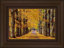Load image into Gallery viewer, Plate 1 - Dairy Hill Horizontal