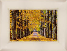 Load image into Gallery viewer, Plate 1 - Dairy Hill Horizontal