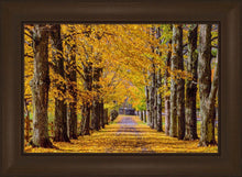 Load image into Gallery viewer, Plate 1 - Dairy Hill Horizontal