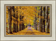 Load image into Gallery viewer, Plate 1 - Dairy Hill Horizontal