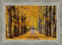Load image into Gallery viewer, Plate 1 - Dairy Hill Horizontal