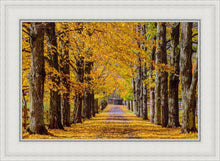 Load image into Gallery viewer, Plate 1 - Dairy Hill Horizontal