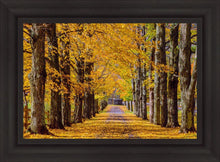 Load image into Gallery viewer, Plate 1 - Dairy Hill Horizontal