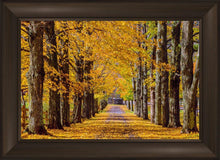 Load image into Gallery viewer, Plate 1 - Dairy Hill Horizontal