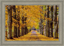 Load image into Gallery viewer, Plate 1 - Dairy Hill Horizontal