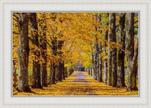 Load image into Gallery viewer, Plate 1 - Dairy Hill Horizontal