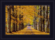 Load image into Gallery viewer, Plate 1 - Dairy Hill Horizontal