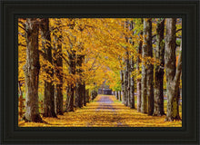 Load image into Gallery viewer, Plate 1 - Dairy Hill Horizontal