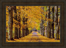 Load image into Gallery viewer, Plate 1 - Dairy Hill Horizontal