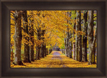 Load image into Gallery viewer, Plate 1 - Dairy Hill Horizontal