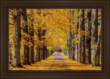 Load image into Gallery viewer, Plate 1 - Dairy Hill Horizontal