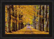 Load image into Gallery viewer, Plate 1 - Dairy Hill Horizontal
