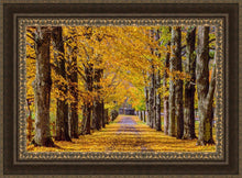 Load image into Gallery viewer, Plate 1 - Dairy Hill Horizontal