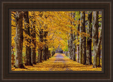 Load image into Gallery viewer, Plate 1 - Dairy Hill Horizontal