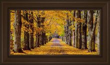 Load image into Gallery viewer, Plate 1 - Dairy Hill Horizontal