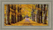 Load image into Gallery viewer, Plate 1 - Dairy Hill Horizontal