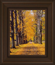 Load image into Gallery viewer, Plate 2 - Dairy Hill Vertical