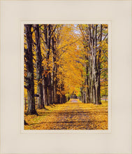 Load image into Gallery viewer, Plate 2 - Dairy Hill Vertical