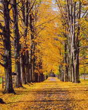 Load image into Gallery viewer, Plate 2 - Dairy Hill Vertical
