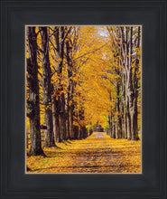 Load image into Gallery viewer, Plate 2 - Dairy Hill Vertical