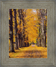 Load image into Gallery viewer, Plate 2 - Dairy Hill Vertical