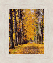 Load image into Gallery viewer, Plate 2 - Dairy Hill Vertical