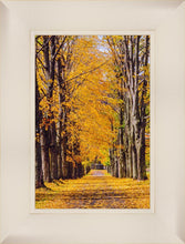 Load image into Gallery viewer, Plate 2 - Dairy Hill Vertical