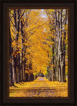 Load image into Gallery viewer, Plate 2 - Dairy Hill Vertical