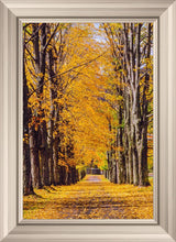 Load image into Gallery viewer, Plate 2 - Dairy Hill Vertical