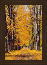 Load image into Gallery viewer, Plate 2 - Dairy Hill Vertical