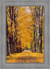 Load image into Gallery viewer, Plate 2 - Dairy Hill Vertical