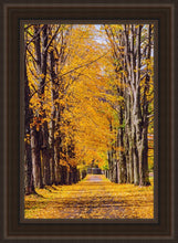 Load image into Gallery viewer, Plate 2 - Dairy Hill Vertical