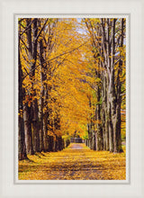 Load image into Gallery viewer, Plate 2 - Dairy Hill Vertical