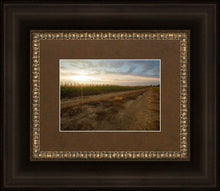 Load image into Gallery viewer, Plate 7 - Calm Before the Storm