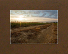 Load image into Gallery viewer, Plate 7 - Calm Before the Storm