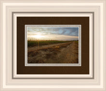 Load image into Gallery viewer, Plate 7 - Calm Before the Storm