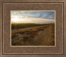 Load image into Gallery viewer, Plate 7 - Calm Before the Storm