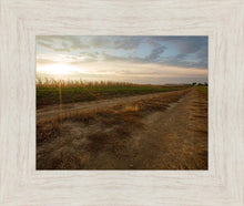 Load image into Gallery viewer, Plate 7 - Calm Before the Storm